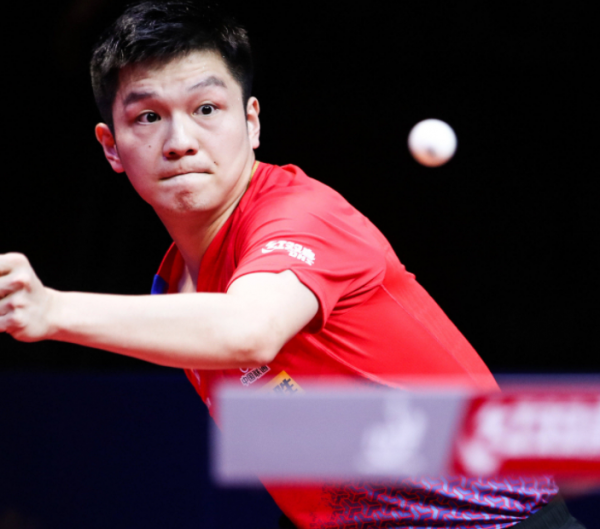 泳池中的选 泳池中的选