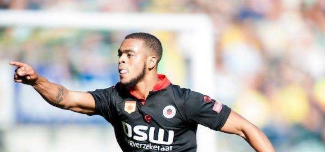 双方不仅展 双方不仅展