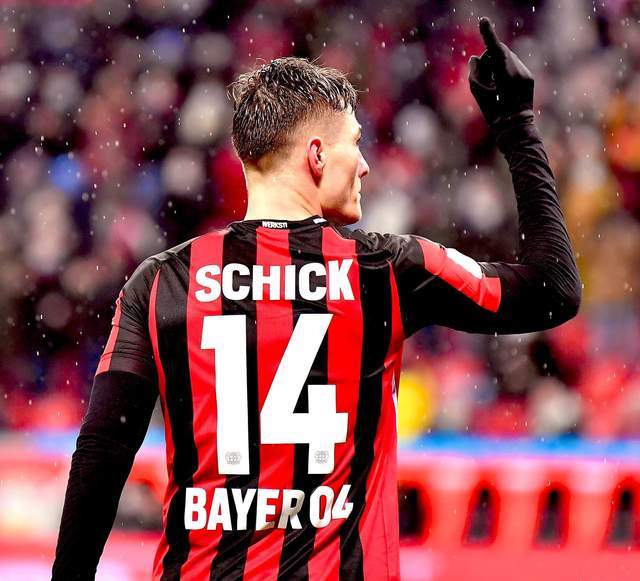 明星球员的 明星球员的